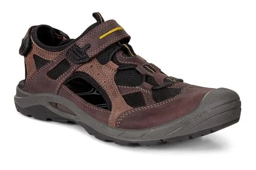 Men's sandals with a cushioned footbedBiom Delta - Coffee